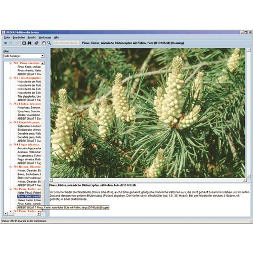 Pflanzenkunde im Unterricht, 1004294 [W13525], Biologie Software