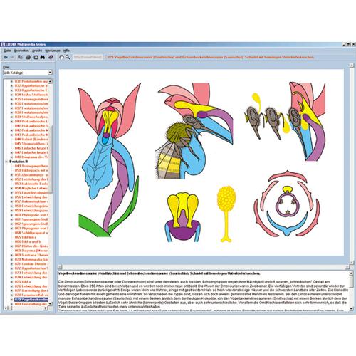 Biology of Flowers and Fruits, Interactive CD-ROM, 1004295 [W13526], 생물학 소프트웨어