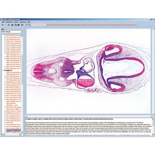 Embryology and Development of Animals, CD-ROM, 1004300 [W13531], Biology Learning Systems