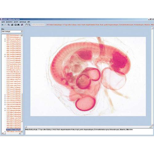 Embryology and Development of Animals, CD-ROM, 1004300 [W13531], Biology Learning Systems