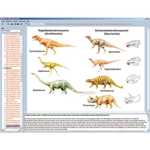 Evolution exemplarisch, CD-ROM, 1004301 [W13532], Paläontologie