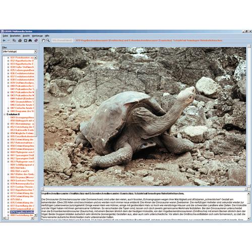 Evolution exemplarisch, CD-ROM, 1004301 [W13532], Paläontologie