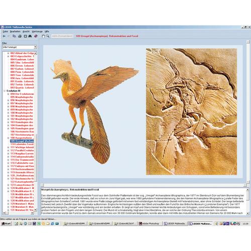 Evolution in Examples, CD-ROM, 1004301 [W13532], Paleontology