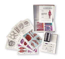MULTIMEDIA TEACHER PACKAGE Parasites of man and animals Basic Package of 6 items - German Version, 1004346 [W13734], German