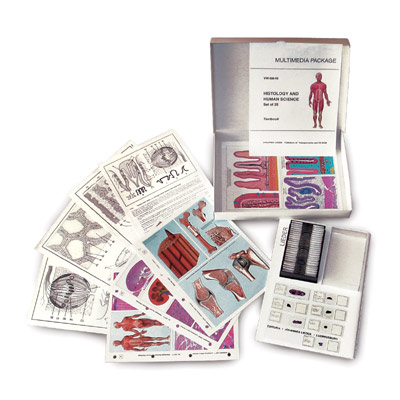 MULTIMEDIA TEACHER PACKAGE Mitosis and Meiosis (Cell division) Basic Package of 6 items, 1004353 [W13741], Microscope Slides LIEDER