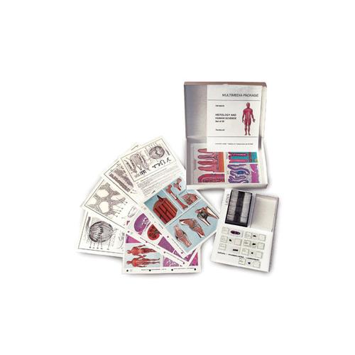 MULTIMEDIA STUDENT SET Mitosis and Meiosis (Cell division) Basic Package of 6 items, 1008785 [W13841-2], Microscope Slides LIEDER