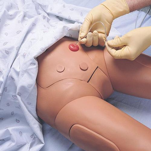 Kelly, maniquí de entrenamiento de enfermería, compatible con SimPad, 1005243 [W19569], Presión arterial