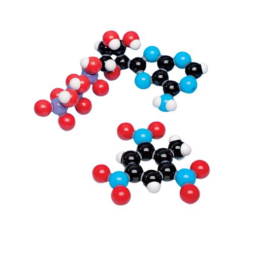 Biokémia készlet oktatóknak - összetett modellek, 1005280 [W19702], Molekula készletek