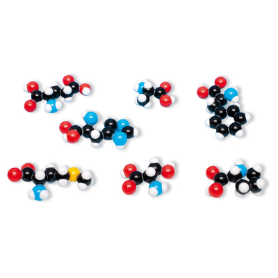 Jeu de 8 acides aminês, molymod®, 1005288 [W19712], Modèles moléculaires