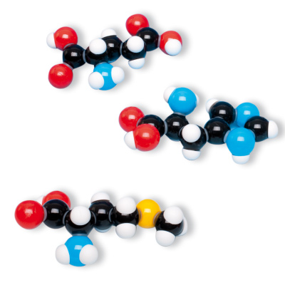Набор из 7 аминокислот, сборная модель molymod®, 1005288 [W19712], Молекулярные модели