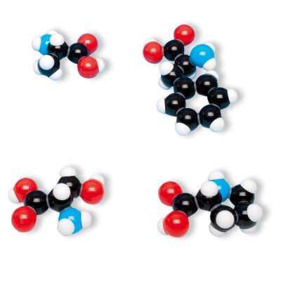 Kit de 8 aminoácidos, molymod®, 1005288 [W19712], Molecular Models