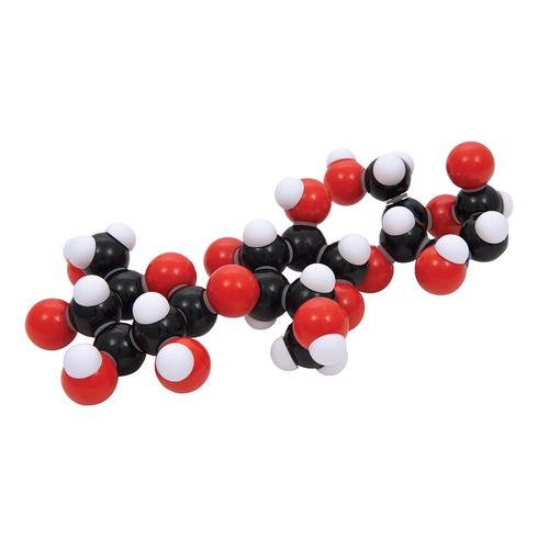 Starch or Cellulose, 3002540 [W19747], Molecular Models