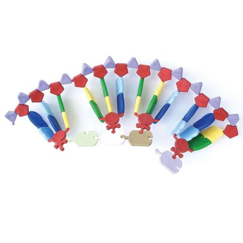 RNA Model, 24 B&aacute;zis, miniDNA&reg; K&eacute;szlet, 1021258 [W19765], DNS-szerkezet &eacute;s -funkci&oacute;