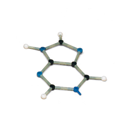 Kit de bioquímica para classes, Orbit™, 1005303 [W19802], Conjunto de montagem de moléculas