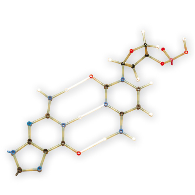 Schülersatz 260 Biochemie, Orbit™-Bausatz, 1005304 [W19803], Molekülbausätze