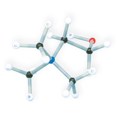 Set di biochimica per studenti, 255, Orbit™, 1005305 [W19804], Kit di modelli molecolari