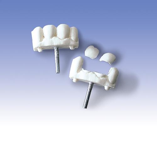 Dents ant&eacute;rieures, jeu compos&eacute; de trois pi&egrave;ces, 1005397 [W30510], Consommables