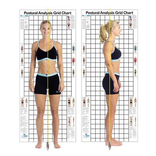 Postural Analysis Grid Chart The Original 3 x 7 ft., W41170, Body Composition and Measurement