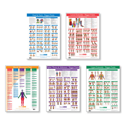 Trigger Point Charts Complete Set of 5, W41172C5, Acupuncture