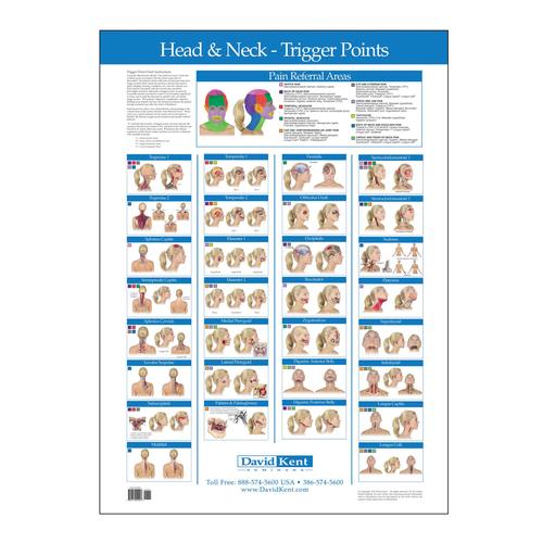 Trigger Point Chart Head and Neck, W41172HN, Therapy Books