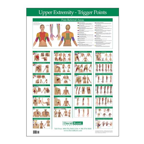 Trigger Point Chart Upper Extremity, W41172UE, Therapy Books