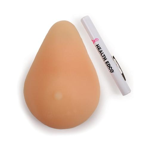 Modelo padr&atilde;o para exame de mamas, 1017889 [W43004], Educa&ccedil;&atilde;o: Sa&uacute;de da Mulher