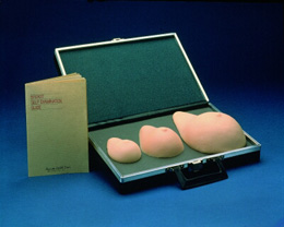 Set of Breast Self Examination Models, 3004585 [W43005], Breast Models