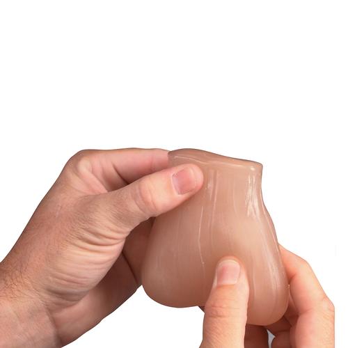 TSE Model, Beige (two lumps in one testicle), 3004594 [W43022], Educación para salud masculina
