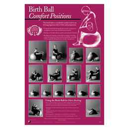 Birth Ball Comfort Positions Chart, 3004696 [W43152], Pregnancy and Childbirth Education