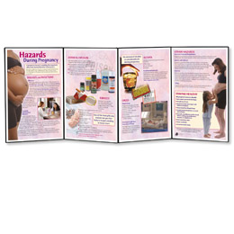 Hazards During Pregnancy Folding Display, 3004697 [W43153], Pregnancy and Childbirth Education