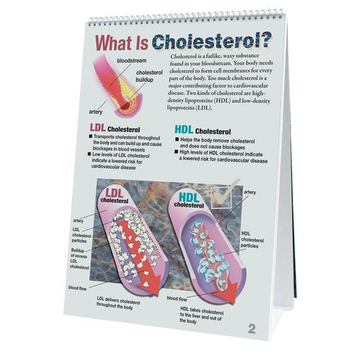 Cholesterol Flip Chart, 1018306 [W43208], Heart Health and Fitness Education