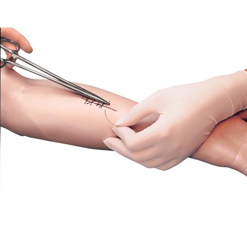 Brazo de prácticas para suturas quirúrgicas, 1005585 [W44003], Sutura y vendaje