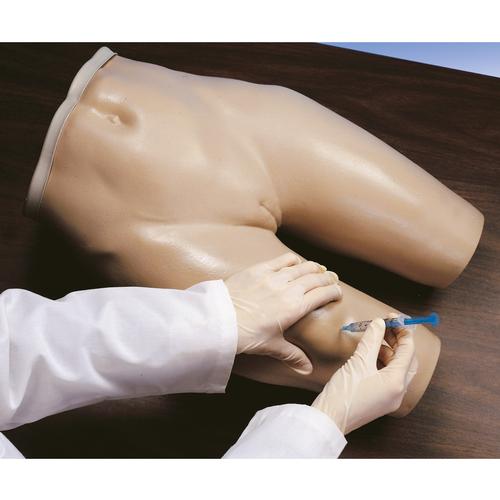 Simulador de inyección intramuscular, 1005586 [W44004], Intramuscular (IM) e intradérmico
