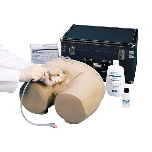도뇨 실습 모형, 남성 Catheterization Simulator, male, 1005587 [W44005], 도뇨관 설치