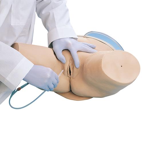 도뇨 실습 모형, 여성 Catheterization Simulator, female, 1005588 [W44006], 도뇨관 설치