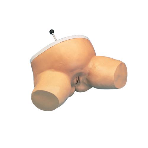 Simulador de parto para a avalia&ccedil;&atilde;o da posi&ccedil;&atilde;o do feto, 1005589 [W44007], Obstetr&iacute;cia