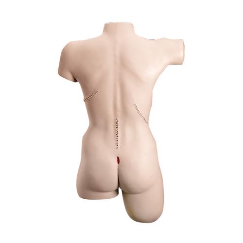 Bandaging Simulator with Ostomy, 1005590 [W44008], Suturing and Bandaging
