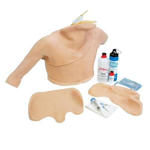 Simulador de Cateteriza&ccedil;&atilde;o do Cora&ccedil;&atilde;o, 1017260 [W44015], Cateteriza&ccedil;&atilde;o