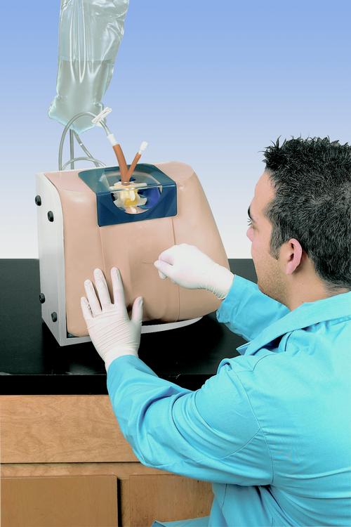 척추 주사 실습모형  Spinal Injection Simulator, 1005603 [W44031], Epidural and Spinal 경막 외 마취 및 척추