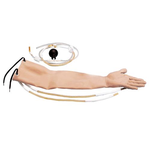 Piel con 3 secciones de arterias, 1005605 [W44035], Consumibles