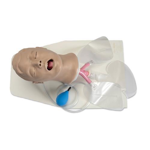 Treinador de Gest&atilde;o das Vias A&eacute;reas em Adultos Airway Larry, 1005633 [W44104], Gest&atilde;o das vias a&eacute;reas adulto
