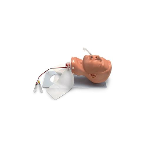 Adult Deluxe Airway Management Trainer, 1018851 [W44104DB], Airway Management Adult
