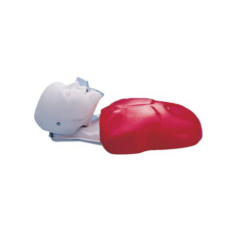 심폐소생술 기본형 마네킨 Basic Buddy™ CPR Torso, 1005637 [W44108], 성인 기본 소생술
