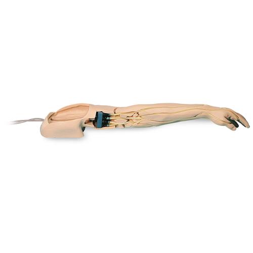 정맥천자 및 주사용 팔 (밝은 피부)  Advanced Venipuncture and Injection Arm, White, 1005678 [W44216], 주사실습 및 천자