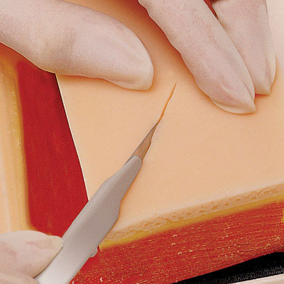 Kit de suture, 1017981 [W44423], Sutures et bandages