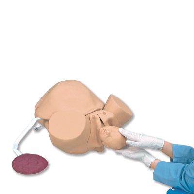Simulador de parto, 1000002 [W44525], Obstetricia
