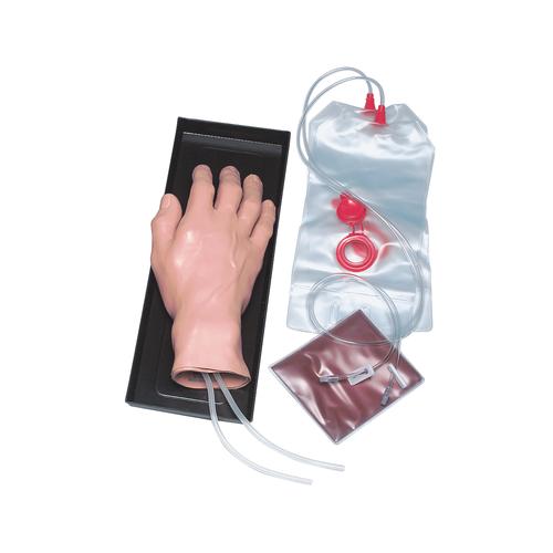Modelo para inje&ccedil;&otilde;es intravenosas / m&atilde;o, 1005754 [W44600], Inje&ccedil;&otilde;es e Pun&ccedil;&atilde;o
