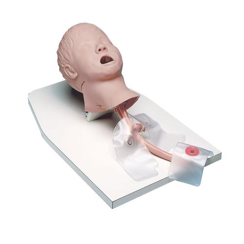 Entrenador de bebé con soporte, 1005625 [W44666], Gestión de vías respiratorias infantiles