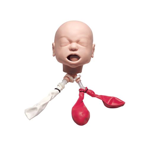 婴幼儿气道管理训练模型，带底座, 1017954 [W44667], 儿童气道管理