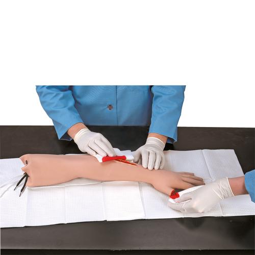 응급 처치 훈련용 팔  First Aid Arm, 1013748 [W44733], 성인 기본 소생술